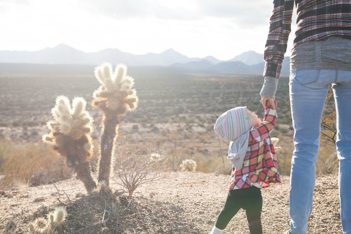 daycare costs by state -texas